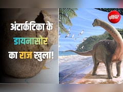 वैज्ञानिक दराज में रखकर भूल गए थे 40 साल पुरानी खोज, अब पता चला- वो अंटार्कटिका के पहले डायनासोर की हड्डी थी