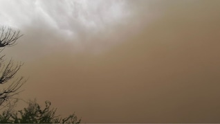 राजस्&zwj;थान में आंधी-बार&zwj;िश का तांडव, जड़ से उखड़े पेड़ और ग&zwj;िरे मकान; IMD का नया अलर्ट