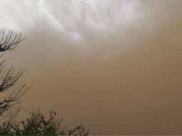 राजस्&zwj;थान में आंधी-बार&zwj;िश का तांडव, जड़ से उखड़े पेड़ और ग&zwj;िरे मकान; IMD का नया अलर्ट&nbsp;