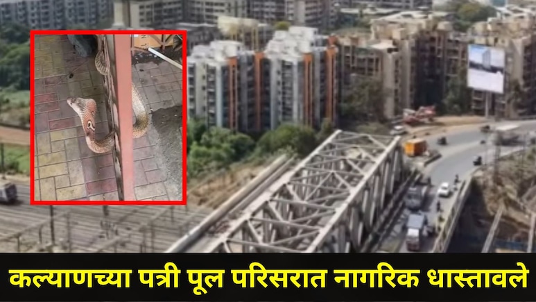 Kalyan News: कल्याणच्या 'या' हाय प्रोफाईल सोसायटीत रहिवाशांची उडाली धावपळ,अंगावर काटा आणणारी सातवी घटना, Video