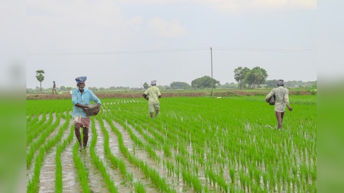 Fertiliser Ministry Seeks Additional Rs 3 Lakh Crore Subsidy Support Amid Hormuz Jolt: Govt Sources