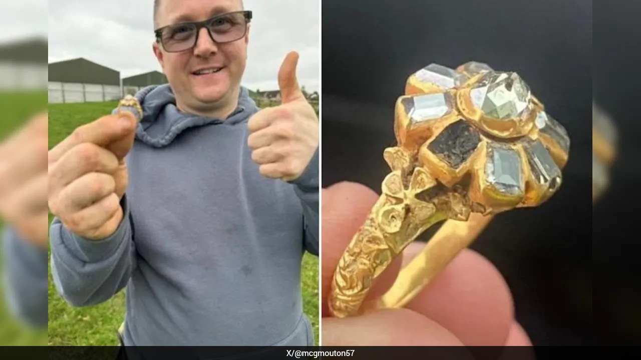 Man Finds 16th-Century Diamond Ring Worth Rs 19 Lakh With Metal Detector