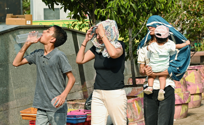 Not 51 Degrees Celsius, But Feels That Hot: What's Behind Delhi's Heat