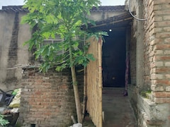 लगातार रो रही थी मासूम, मां से बर्दाशत नहीं हुई आवाज, हंसुए से काट दिया 6 महीने की बेटी का गला