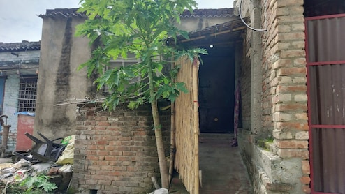 लगातार रो रही थी मासूम, मां से बर्दाशत नहीं हुई आवाज, हंसुए से काट दिया 6 महीने की बेटी का गला