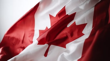 'Best Time To Apply': Canadian Envoy's Advice To Indians Eyeing Study Visa