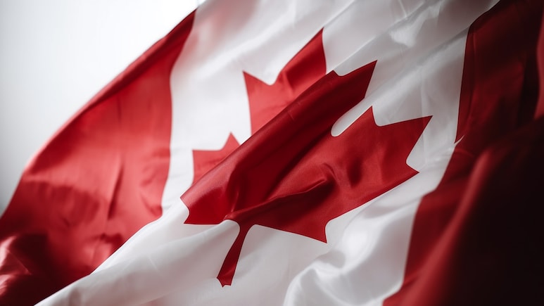 'Best Time To Apply': Canadian Envoy's Advice To Indians Eyeing Study Visa