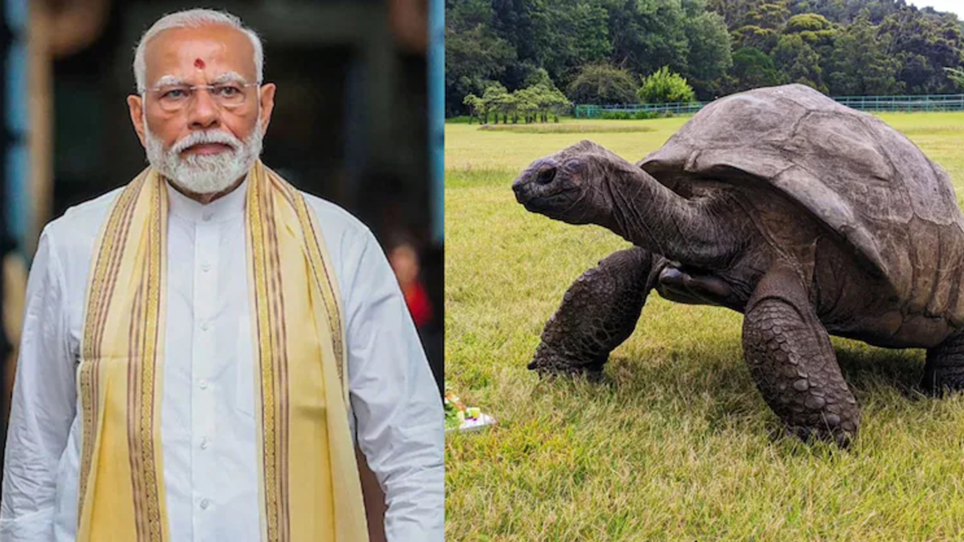 PM Modi Meets World's Oldest Living Land Animal During Seychelles Visit