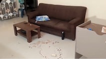 बेंगलुरु में लिव-इन पार्टनर के साथ मिल लड़की ने छोटी बहन और मां-बाप की कर दी बेरहमी से हत्‍या!
