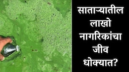 Satara News : साताऱ्यातील लाखो नागरिकांचा जीव धोक्यात; 8 आमदार, 2 खासदार तरीही दुर्लक्ष, तरुणाने मांडलं भयंकर वास्तव&nbsp;