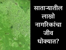 Satara News : साताऱ्यातील लाखो नागरिकांचा जीव धोक्यात; 8 आमदार, 2 खासदार तरीही दुर्लक्ष, तरुणाने मांडलं भयंकर वास्तव&nbsp;