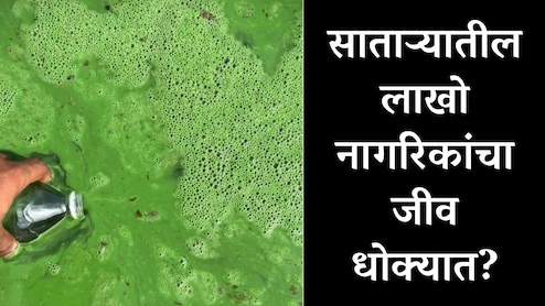 Satara News : साताऱ्यातील लाखो नागरिकांचा जीव धोक्यात; 8 आमदार, 2 खासदार तरीही दुर्लक्ष, तरुणाने मांडलं भयंकर वास्तव&nbsp;