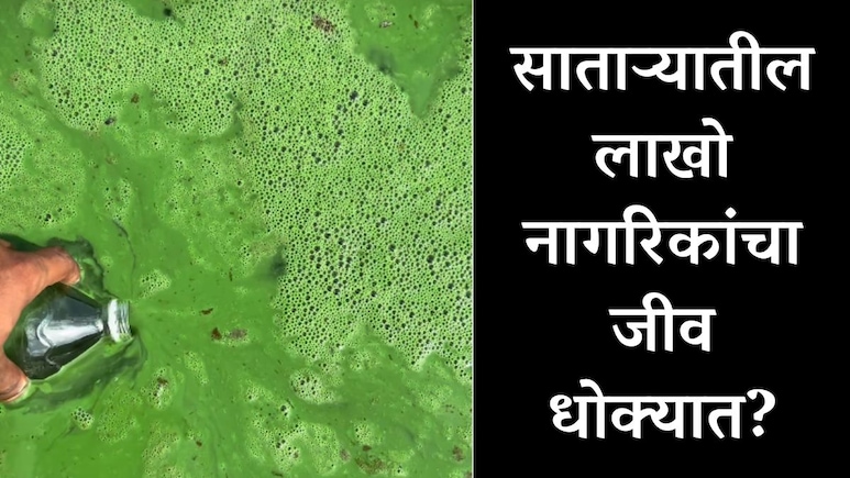 Satara News : साताऱ्यातील लाखो नागरिकांचा जीव धोक्यात? 8 आमदार, 2 खासदार तरीही दुर्लक्ष, भयंकर वास्तव