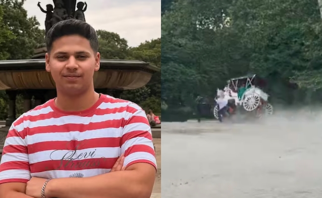 Video: Moment Horse Bolted In New York's Central Park, Leading To Indian Tourist's Death