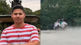 Video Shows Moment Horse Bolted At New York's Central Park, Killing Indian Tourist