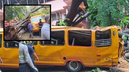 Mumbai News : शाळेच्या बसवर भलंमोठं झाड कोसळलं, बसचा चेंदामेंदा; एका विद्यार्थिनीचा मृत्यू; 10 गंभीर जखमी