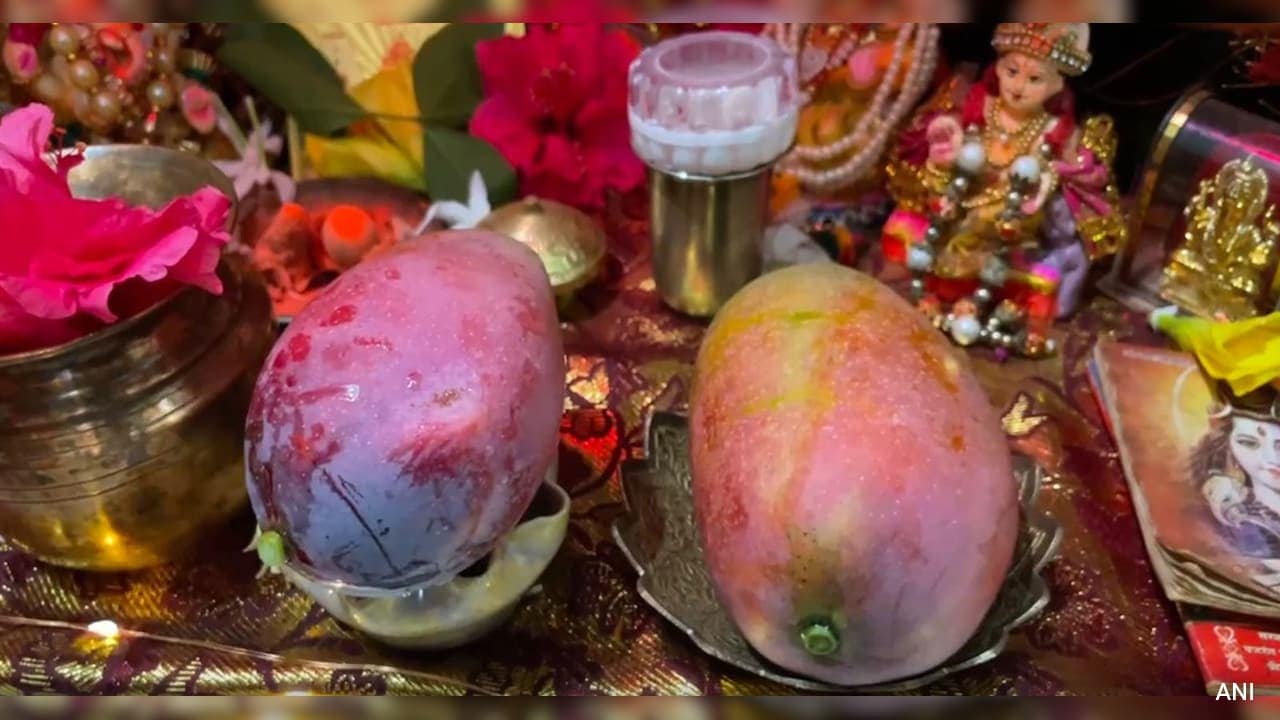 World's Costliest Mango Worth Rs 1 Lakh Offered At Ram Temple In Ayodhya