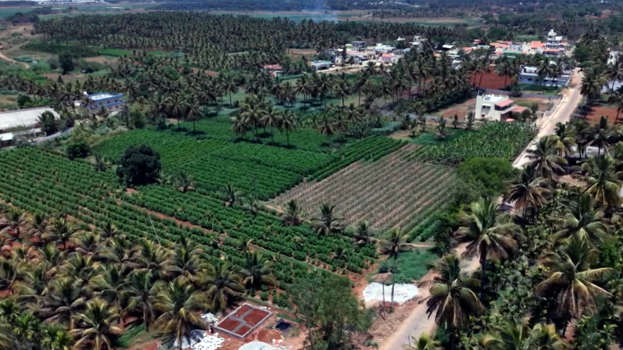 2 Lakh Trees In Firing Line? Bidadi AI Township Project Triggers Karnataka Row