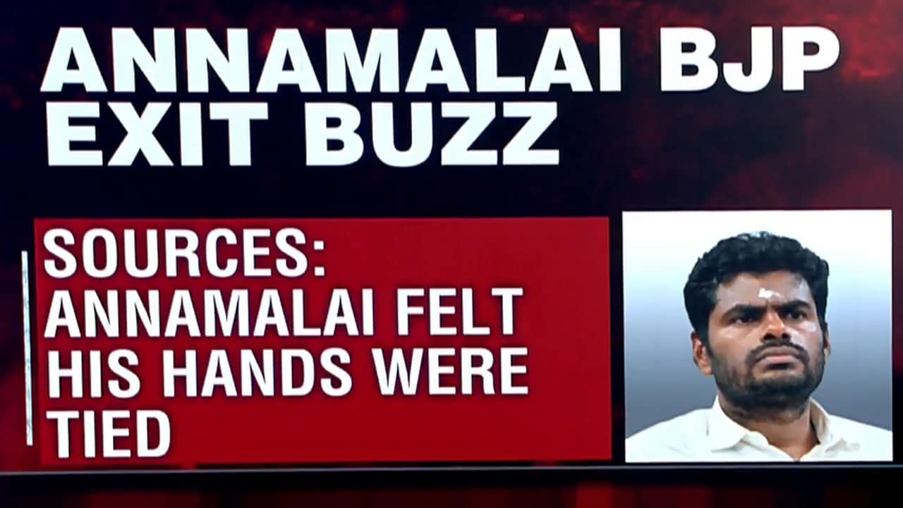 BJP's K Annamalai 'Frustrated'? Sources Hint At Rift