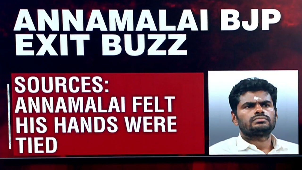 BJP's K Annamalai 'Frustrated'? Sources Hint At Rift