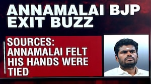 BJP's K Annamalai 'Frustrated'? Sources Hint At Rift