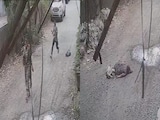 On Camera, Woman Government Staff Stabbed 8 Times In Neck, Back By Colleague On Camera, Woman Government Staff Stabbed 8 Times In Neck, Back By Colleague