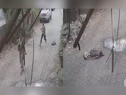 On Camera, Woman Government Staff Stabbed 8 Times In Neck, Back By Colleague In Maharashtra