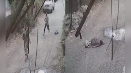 On Camera, Woman Government Staff Stabbed 8 Times In Neck, Back By Colleague In Maharashtra