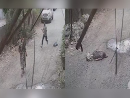 On Camera, Woman Government Staff Stabbed 8 Times In Neck, Back By Colleague In Maharashtra
