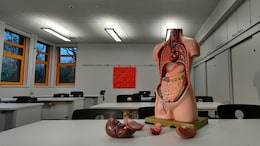 Silicon Valley Startup Wants To Grow 'Headless Humans' To Replace Animal Testing