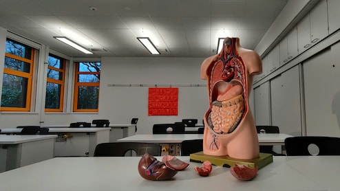 Silicon Valley Startup Wants To Grow 'Headless Humans' To Replace Animal Testing