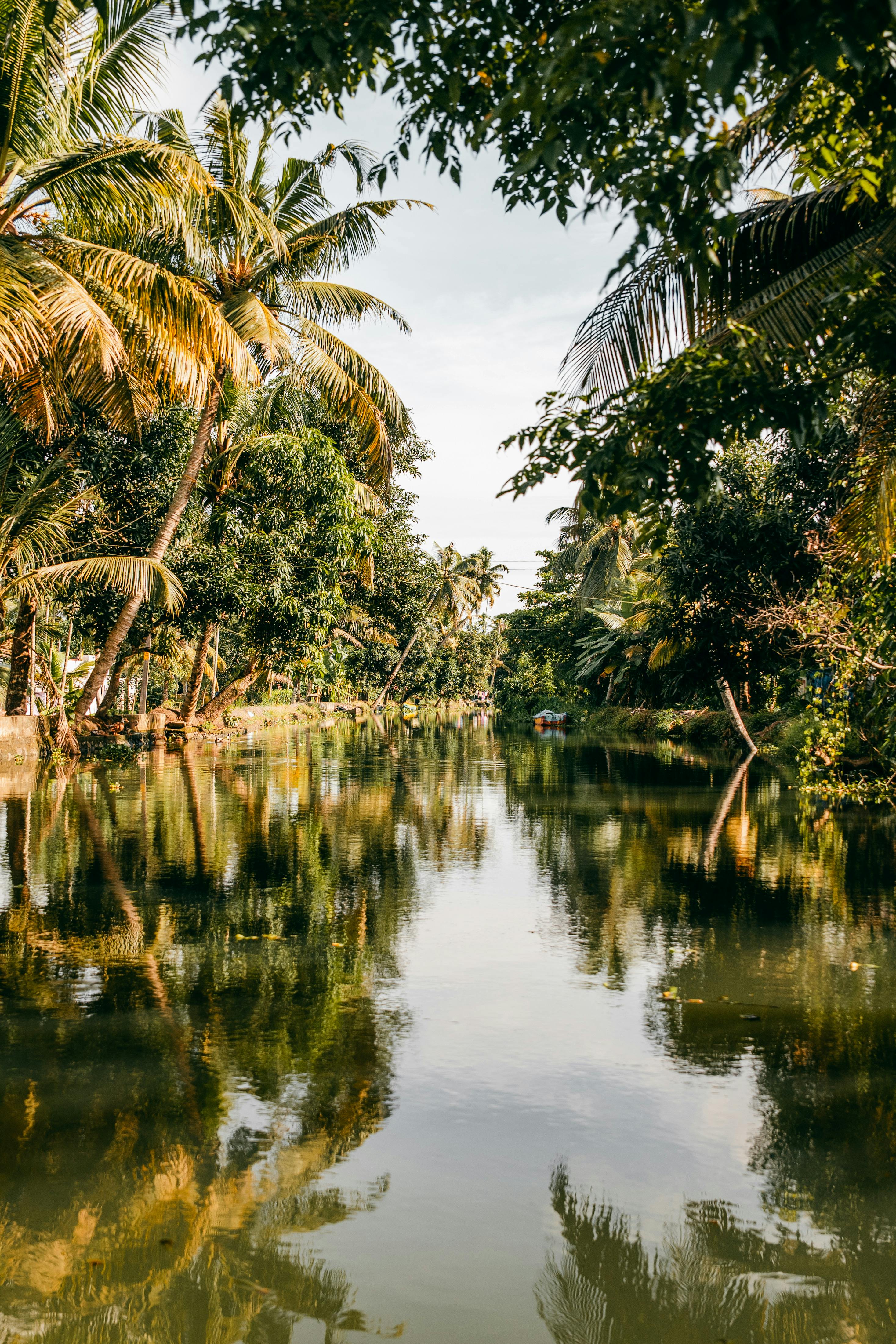Best Places In India With Pleasant Weather Right Now