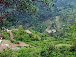 Why Morni Hills Is The Ideal Getaway Near Chandigarh