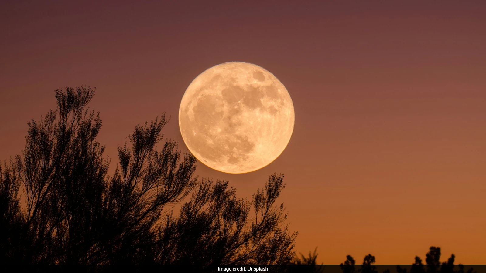 Strawberry Moon June 2026: Best Time To Watch In India