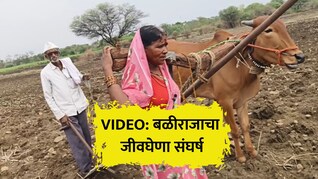 VIDEO: जीवघेणा संघर्ष! निसर्गाच्या प्रकोपाने विपरित घडलं, शेतकऱ्याने बैलाऐवजी पत्नीलाच औताला जुंपलं