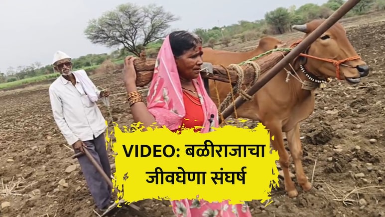 VIDEO: जीवघेणा संघर्ष! निसर्गाच्या प्रकोपाने विपरित घडलं, शेतकऱ्याने बैलाऐवजी पत्नीलाच औताला जुंपलं