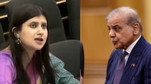 India Slams Pak Over Terrorism At UN, Calls It A 