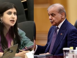 India Slams Pak Over Terrorism At UN, Calls It A "Frankenstein State"