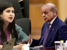 "Gets Shocked When Its Monster Bites Back": India Calls Pak "Frankenstein State" At UN