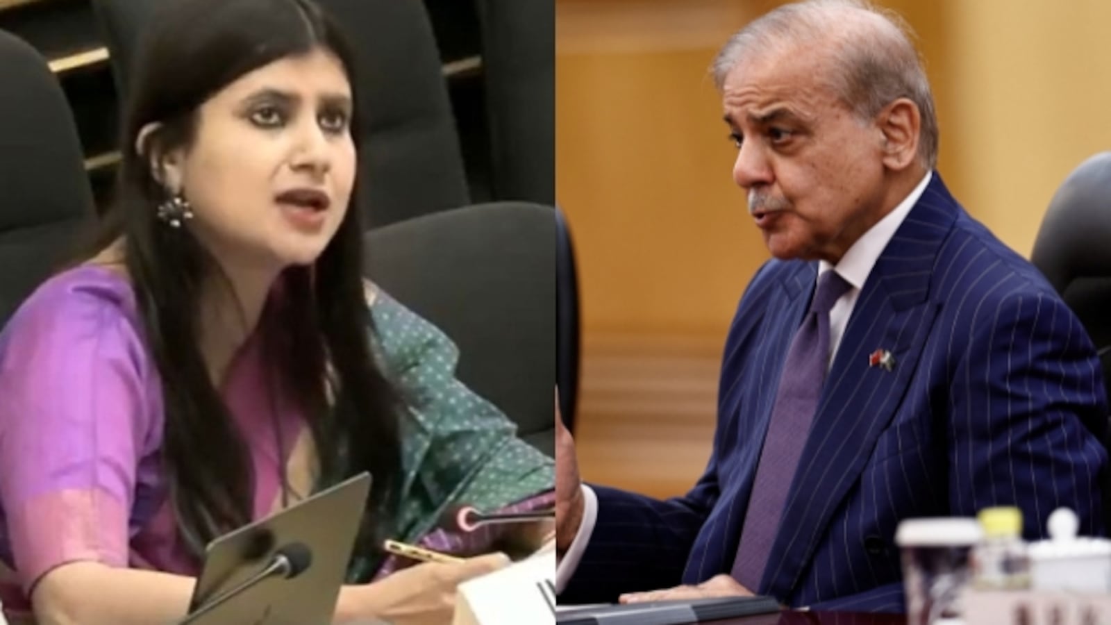 India Slams Pakistan Over Terrorism At UNSC, Calls It A Frankenstein State: Anupama Singh