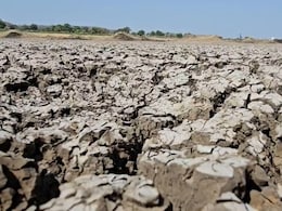 सूखे की मार झेल रहा मराठवाड़ा, 1000 टैंकर बुझा रहे प्यास, सूखे बांध में मरी मछलियां