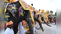 Ahmedabad Begins 149th Rath Yatra Celebrations At Jagannath Temple