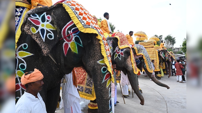 Ahmedabad Begins 149th Rath Yatra Celebrations At Jagannath Temple
