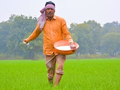 बिहार में लागू होगी प्रधानमंत्री फसल बीमा योजना, राज्य फसल सहायता योजना बंद, अब किसानों को म‍िलेगा बीमा