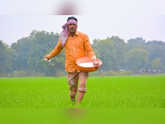 किसानों के खाद पर बड़ी खबर: 1 बोरी के दाम में मिल रही 15 बोरी! कम पड़ रही 1.7 लाख करोड़ की सब्सिडी