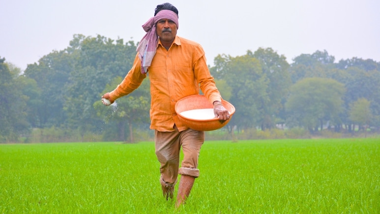किसानों के खाद पर बड़ी खबर: 1 बोरी के दाम में मिल रही 15 बोरी! कम पड़ रही 1.7 लाख करोड़ की सब्सिडी, डबल करने की मांग
