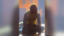 Post Malone Slumps To Ground, Lights A Cigarette And Stares Blankly Into Crowd At Recent Concert