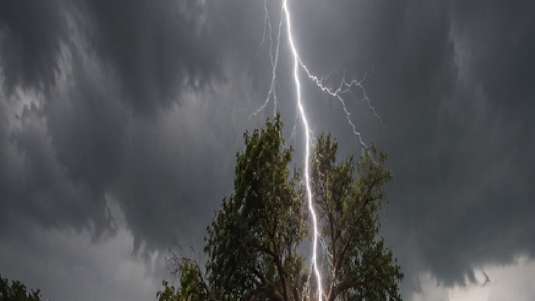 MP Weather: शहडोल में आकाशीय बिजली का कहर, दो की मौत; &nbsp;38 जिलों में आंधी-बारिश का IMD अलर्ट