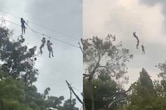 VIDEO: 70 मीटर ऊंची Zip Line से उदयपुर का दीदार कर रहे थे पर्यटक, अचानक आ गई आंधी; आफत में पड़ी जान