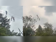 VIDEO: 70 मीटर ऊंची Zip Line से उदयपुर का दीदार कर रहे थे पर्यटक, अचानक आ गई आंधी; आफत में पड़ी जान